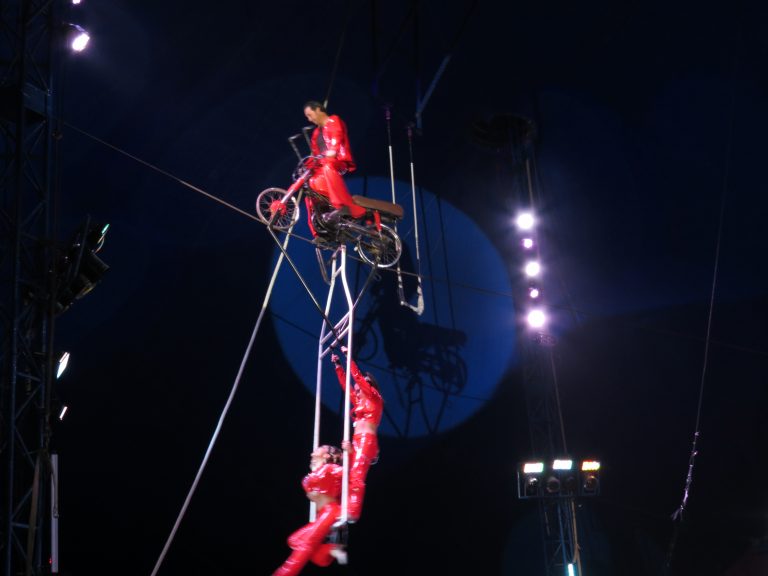 SHOW 2013 (11)