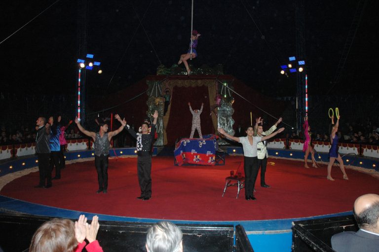 SHOW 2013 (13)