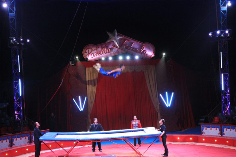 SHOW 2013 (9)