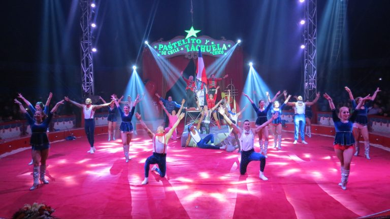 SHOW 2014 (2)