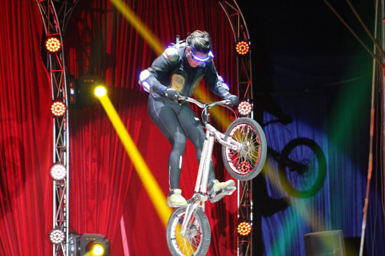 SHOW 2017 (33)