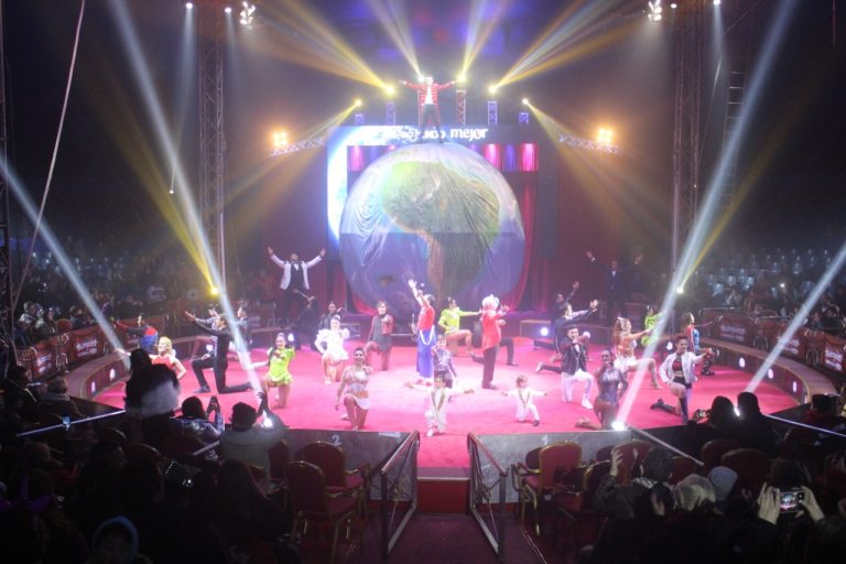 SHOW 2019 (12)