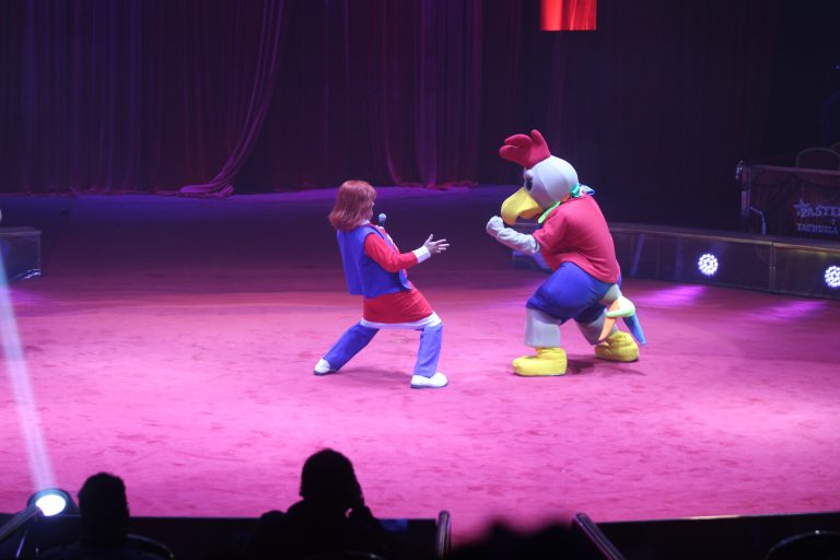 SHOW 2019 (23)