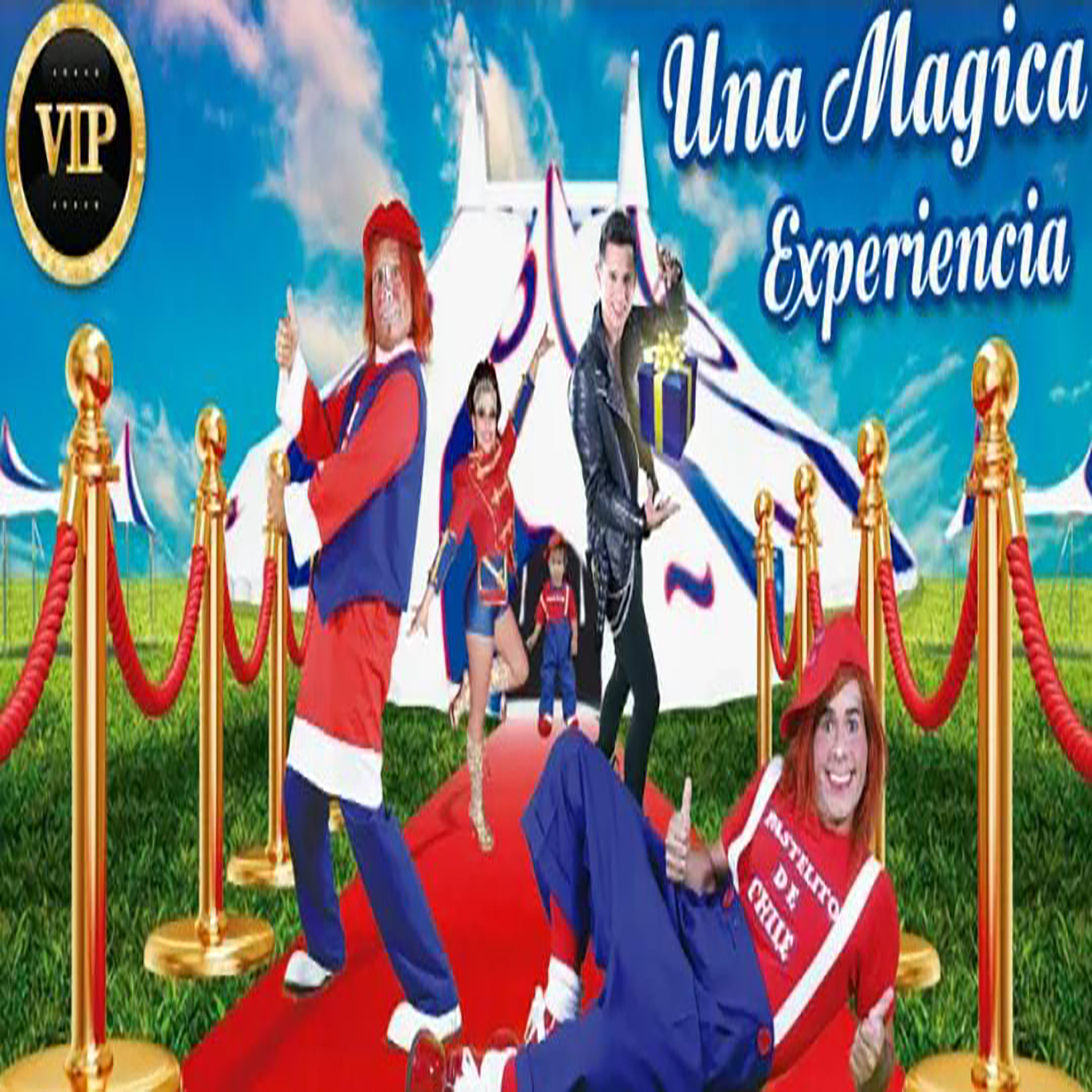 Año 2015